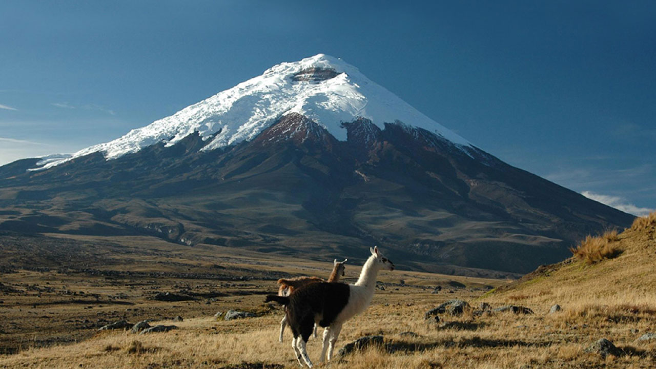 Cotopaxi trek with Lodges in 3 days
